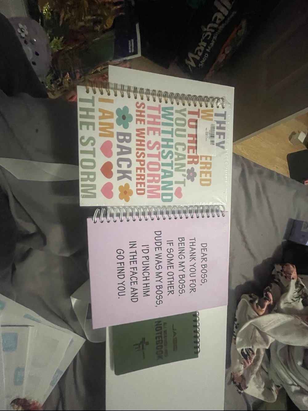 Spiral Bound Motivational & Funny Quote Notebooks - Pastel Mix